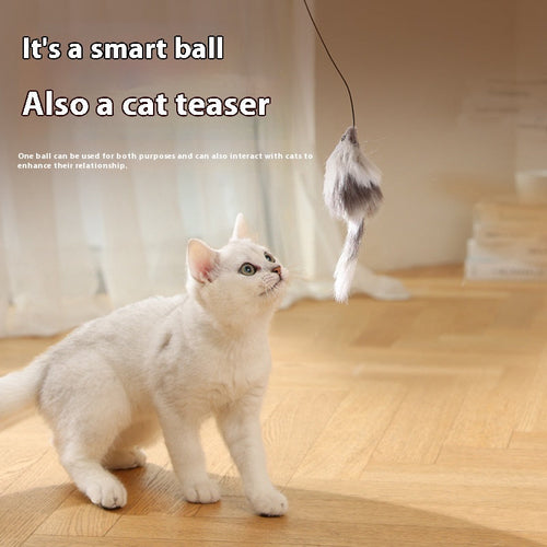 Cat Mouse Teaser Ball - Fun Moving Toy For Pets Cat Dog, Electric