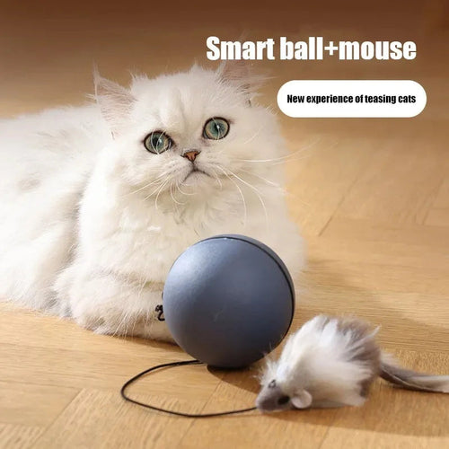 Cat Mouse Teaser Ball - Fun Moving Toy For Pets Cat Dog, Electric