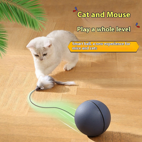 Cat Mouse Teaser Ball - Fun Moving Toy For Pets Cat Dog, Electric
