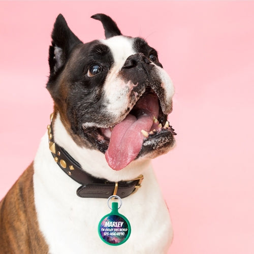 Galaxy Ecoplastic Pet ID Tag- Choose from many colors.